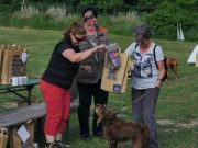 IMG_Ro_tunier_siegerehrung-17-06-2017-056