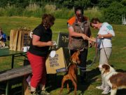 IMG_Ro_tunier_siegerehrung-17-06-2017-065