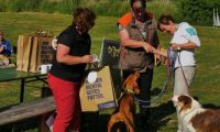 IMG_Ro_tunier_siegerehrung-17-06-2017-065