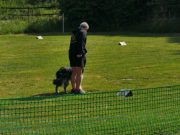 IMG_Ro_tunier_17-06-2017-010