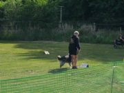 IMG_Ro_tunier_17-06-2017-011