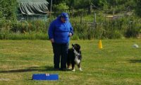 IMG_Ro_tunier_17-06-2017-014