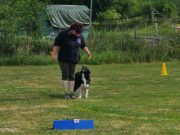 IMG_Ro_tunier_17-06-2017-017