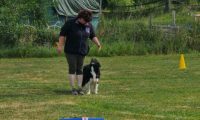 IMG_Ro_tunier_17-06-2017-017