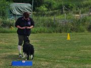 IMG_Ro_tunier_17-06-2017-019