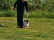 IMG_Ro_tunier_17-06-2017-020