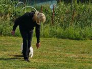 IMG_Ro_tunier_17-06-2017-021