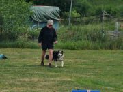 IMG_Ro_tunier_17-06-2017-024