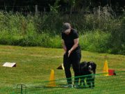 IMG_Ro_tunier_17-06-2017-027