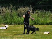 IMG_Ro_tunier_17-06-2017-029