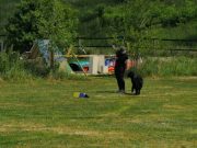 IMG_Ro_tunier_17-06-2017-031