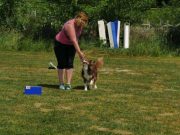 IMG_Ro_tunier_17-06-2017-033