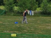 IMG_Ro_tunier_17-06-2017-034
