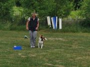 IMG_Ro_tunier_17-06-2017-035