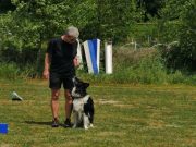 IMG_Ro_tunier_17-06-2017-037