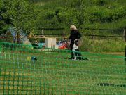 IMG_Ro_tunier_17-06-2017-038
