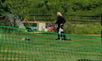 IMG_Ro_tunier_17-06-2017-038