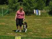 IMG_Ro_tunier_17-06-2017-046