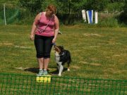 IMG_Ro_tunier_17-06-2017-047
