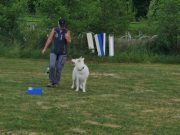 IMG_Ro_tunier_17-06-2017-048