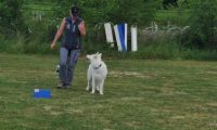 IMG_Ro_tunier_17-06-2017-048