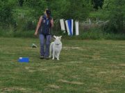 IMG_Ro_tunier_17-06-2017-049