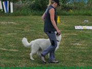 IMG_Ro_tunier_17-06-2017-050