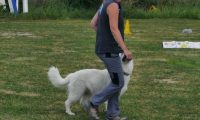 IMG_Ro_tunier_17-06-2017-050