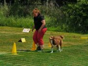 IMG_Ro_tunier_17-06-2017-051