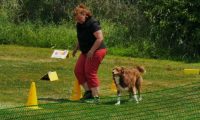 IMG_Ro_tunier_17-06-2017-051