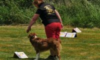 IMG_Ro_tunier_17-06-2017-052