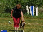 IMG_Ro_tunier_17-06-2017-054