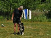 IMG_Ro_tunier_17-06-2017-056