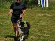 IMG_Ro_tunier_17-06-2017-057