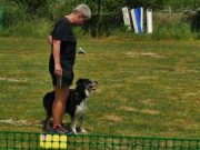 IMG_Ro_tunier_17-06-2017-058
