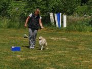 IMG_Ro_tunier_17-06-2017-059