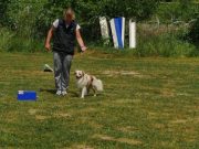 IMG_Ro_tunier_17-06-2017-060