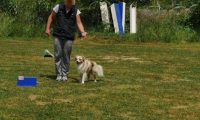 IMG_Ro_tunier_17-06-2017-060