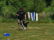 IMG_Ro_tunier_17-06-2017-061