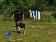 IMG_Ro_tunier_17-06-2017-062