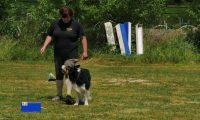 IMG_Ro_tunier_17-06-2017-062