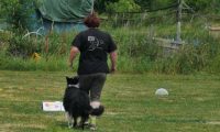 IMG_Ro_tunier_17-06-2017-063