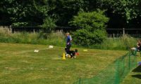 IMG_Ro_tunier_17-06-2017-065
