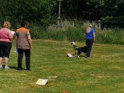 IMG_Ro_tunier_17-06-2017-066