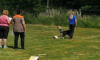 IMG_Ro_tunier_17-06-2017-066