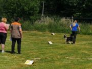 IMG_Ro_tunier_17-06-2017-067