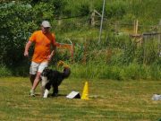 IMG_Ro_tunier_17-06-2017-068