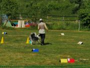 IMG_Ro_tunier_17-06-2017-070