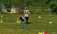IMG_Ro_tunier_17-06-2017-070