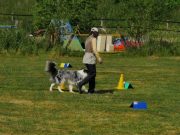 IMG_Ro_tunier_17-06-2017-071